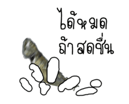 Thai Mackerel Attack!!! sticker #14204747