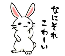 Invective rabbit 3 sticker #14204846