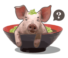 Pig daily life sticker #14205526