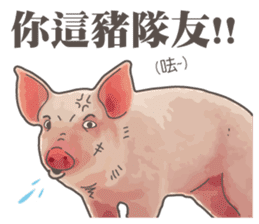 Pig daily life sticker #14205529