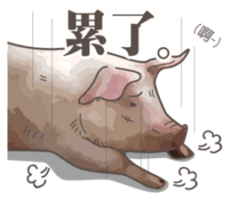 Pig daily life sticker #14205533