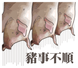 Pig daily life sticker #14205536
