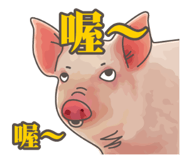 Pig daily life sticker #14205556