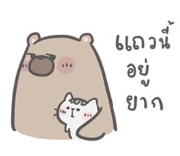 Mr. bear and his cutie cat 3 sticker #14206753