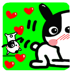 Reaction 2 of a cute dog.