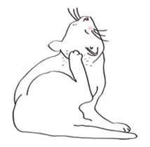 Pose of cat that you also know-animation sticker #14209366