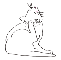 Pose of cat that you also know-animation sticker #14209366