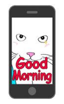 Pose of cat that you also know-animation sticker #14209370