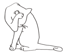 Pose of cat that you also know-animation sticker #14209371