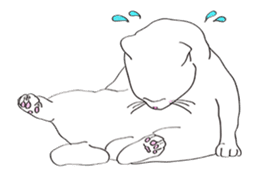 Pose of cat that you also know-animation sticker #14209372
