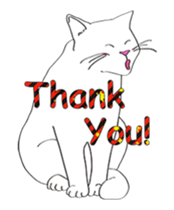 Pose of cat that you also know-animation sticker #14209383