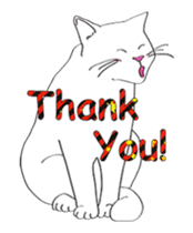 Pose of cat that you also know-animation sticker #14209383