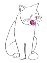Pose of cat that you also know-animation sticker #14209385