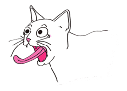 Pose of cat that you also know-animation sticker #14209387