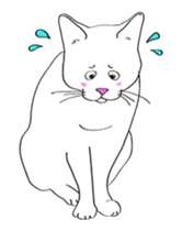 Pose of cat that you also know-animation sticker #14209389