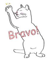 Pose of cat that you also know-animation sticker #14209391