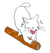 Pose of cat that you also know-animation sticker #14209395