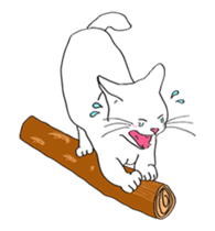 Pose of cat that you also know-animation sticker #14209395
