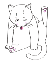 Pose of cat that you also know-animation sticker #14209401