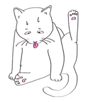 Pose of cat that you also know-animation sticker #14209401