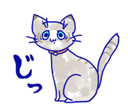 = Stray cat = sticker #14209519