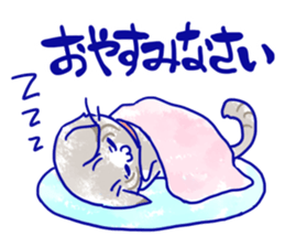 = Stray cat = sticker #14209524