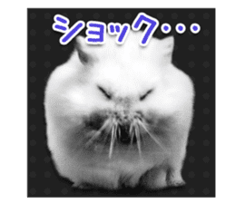 Djungarian hamster -Daifuku- Photo ver.1 sticker #14209537