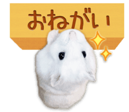 Djungarian hamster -Daifuku- Photo ver.1 sticker #14209542
