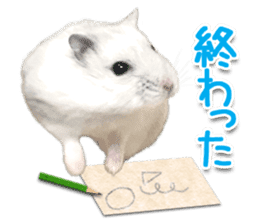 Djungarian hamster -Daifuku- Photo ver.1 sticker #14209549