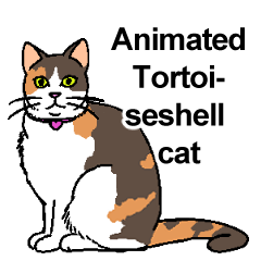 Animated Tortoiseshell cat.