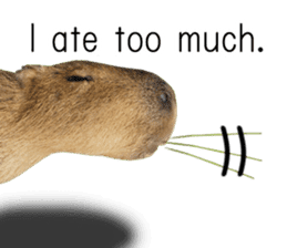 Capybara of Kapi-chan 2(English edition) sticker #14210860