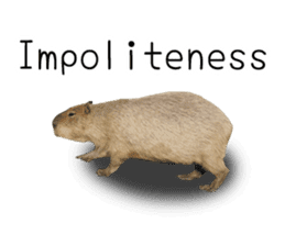 Capybara of Kapi-chan 2(English edition) sticker #14210862