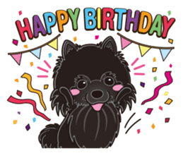 Black Pomeranian Birthday sticker #14213263