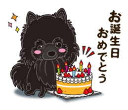 Black Pomeranian Birthday sticker #14213264