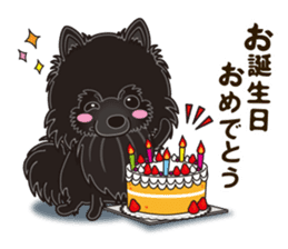 Black Pomeranian Birthday sticker #14213264