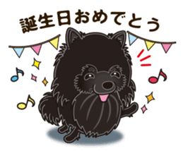 Black Pomeranian Birthday sticker #14213265