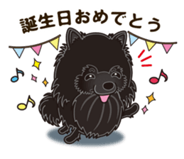 Black Pomeranian Birthday sticker #14213265