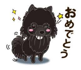 Black Pomeranian Birthday sticker #14213267