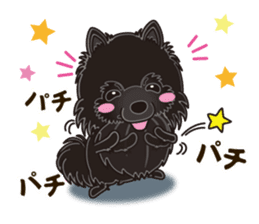 Black Pomeranian Birthday sticker #14213269
