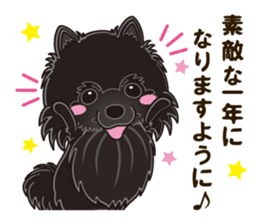 Black Pomeranian Birthday sticker #14213270