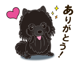 Black Pomeranian Birthday sticker #14213271