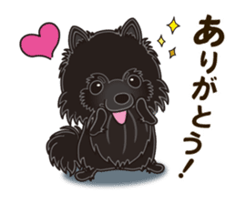 Black Pomeranian Birthday sticker #14213271