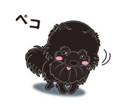 Black Pomeranian Birthday sticker #14213276
