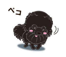 Black Pomeranian Birthday sticker #14213276