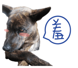 furkid sticker #14213976