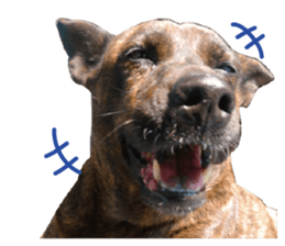 furkid sticker #14213978