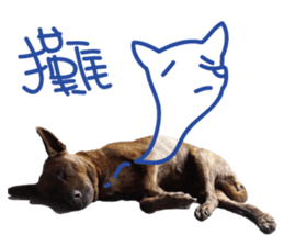 furkid sticker #14213981