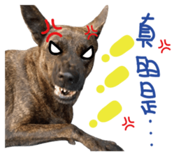 furkid sticker #14213984