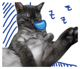 furkid sticker #14213987