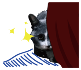 furkid sticker #14213990